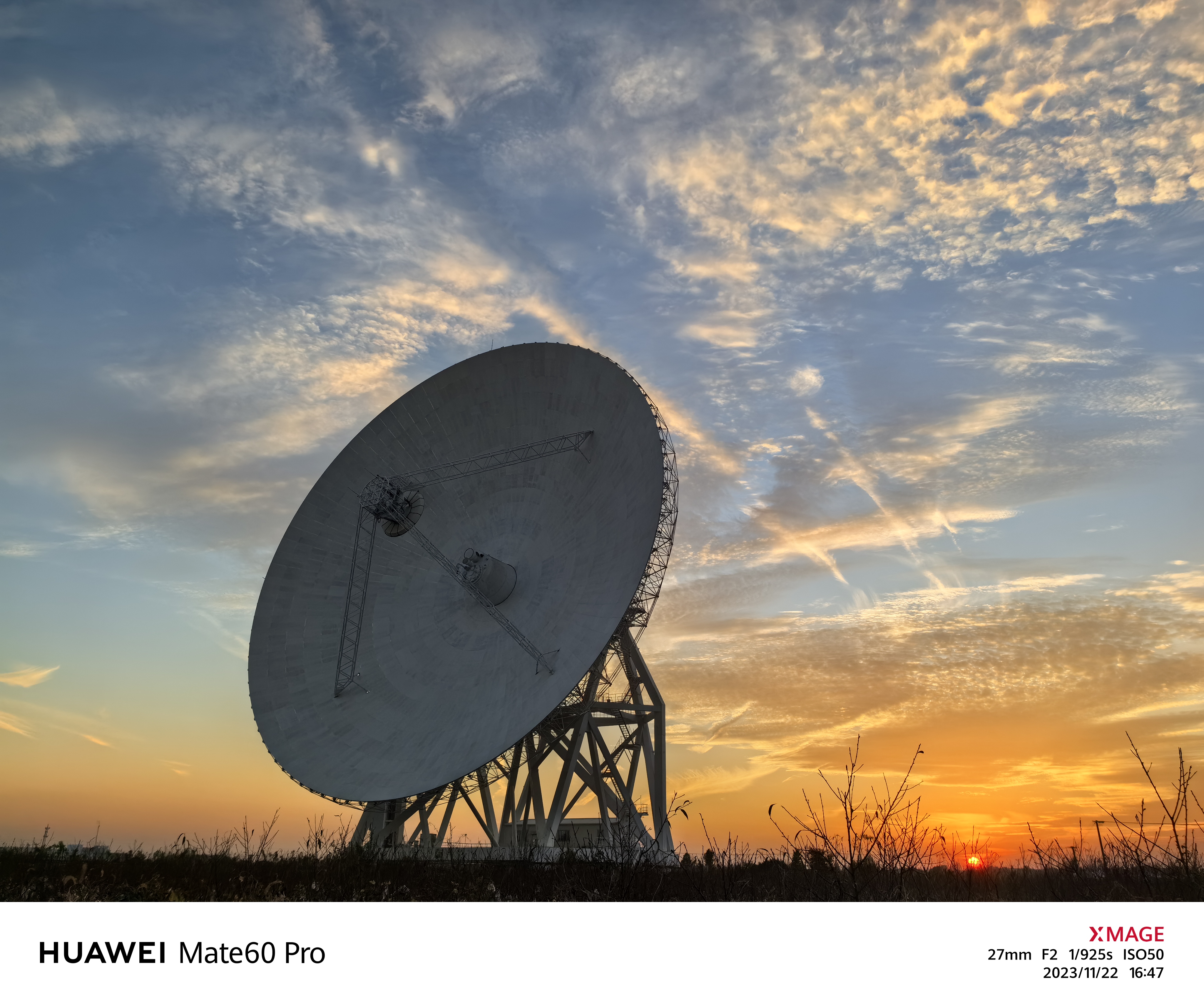Headshot of Maxi Ferreira